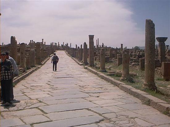 Timgad le cardo